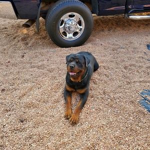 Meet your Posher, Doris